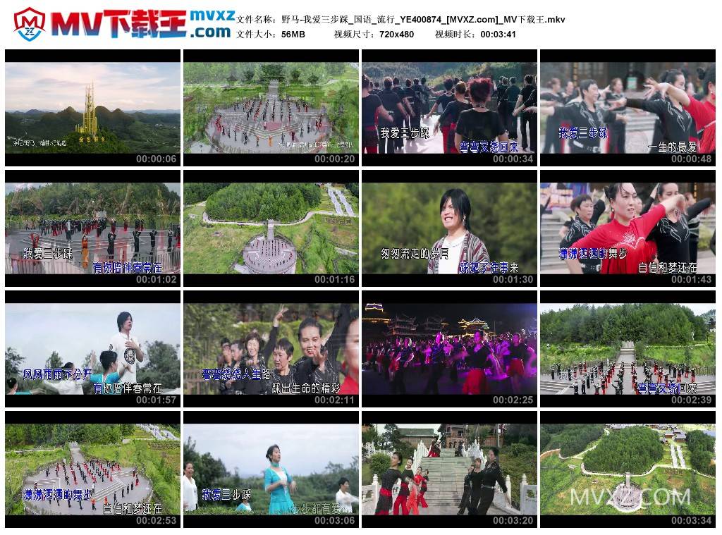 野马-我爱三步踩_国语_流行_YE400874